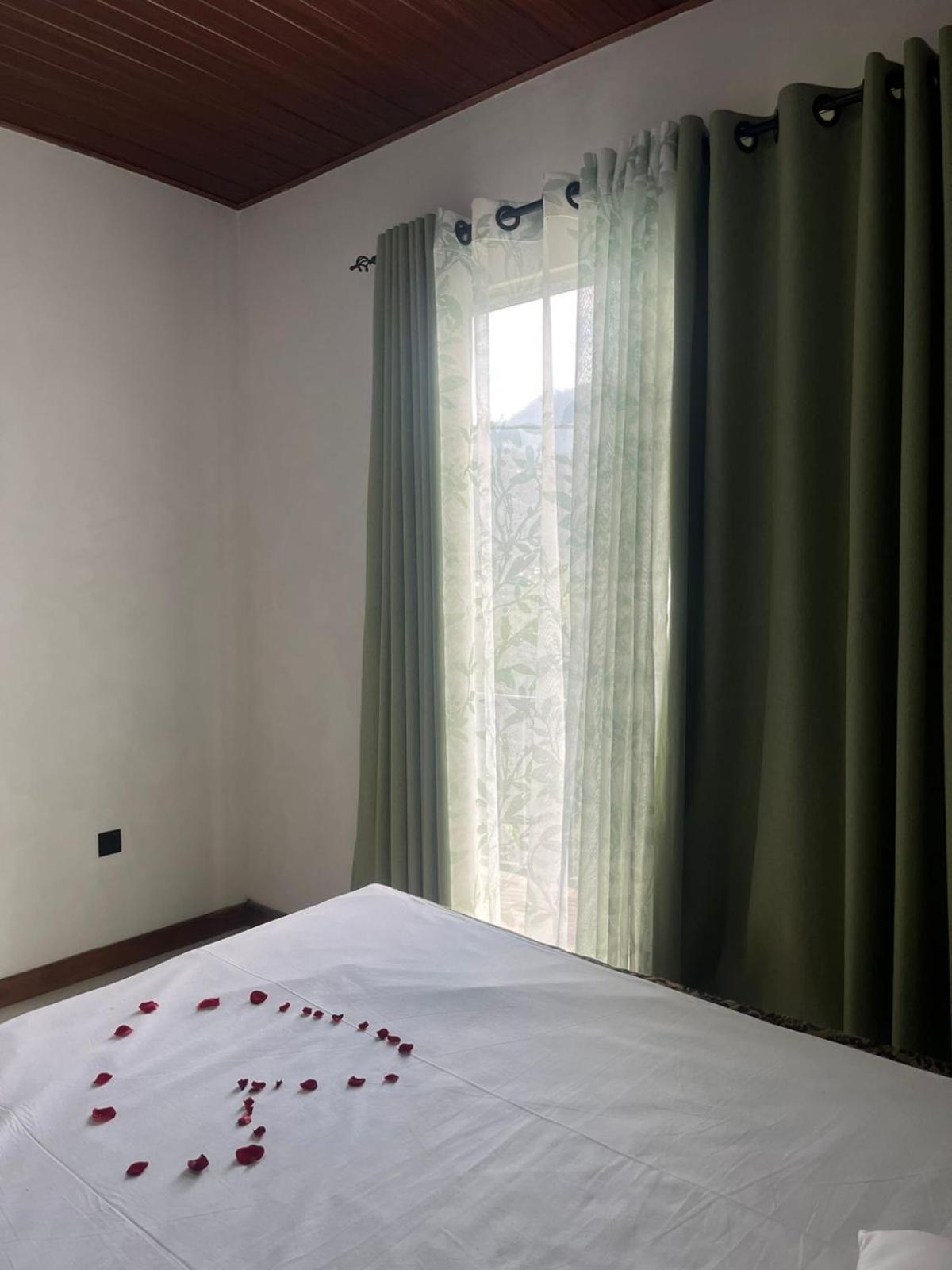 Bloom House Homestay Бандаравела Екстер'єр фото
